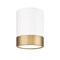 Z-Lite Algar Flush Mount, 1-Light, 6 In.W x 8 In.H, Matte White + Modern Gold/Frosted 1006F6-MW-MGLD-LED - alternate 1